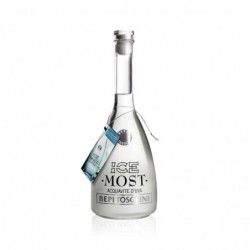 Bepi Tosolini Ice Most
