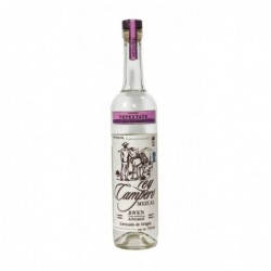 Rey Campero Tepextate Mezcal
